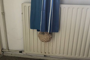 Afbeelding Afbeelding